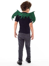 Load image into Gallery viewer, Dragon Wings & Mask Set